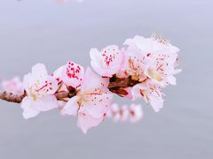 -颐和园