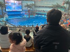 -海合安成都极地海洋公园