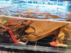 -雍容荟帝王蟹活龙虾展台自助(IFS黑金店)