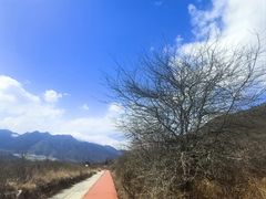-石棉县孟获城