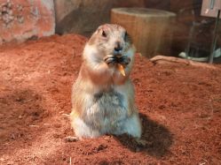 -Zoolung Zoolung动物主题公园(海信广场店)