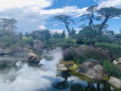 -罗红摄影艺术馆