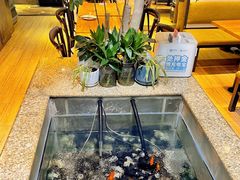-新澳港式茶餐厅(余姚路店)