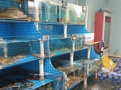 -李哥海鲜烧烤家常菜(孔雀城店)