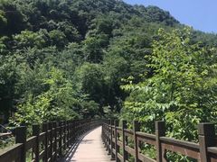 -凤栖山