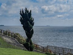 -小麦岛公园