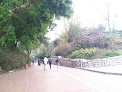 -九龙公园