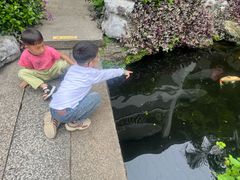 -聚福宝合苑食府(南头镇店)