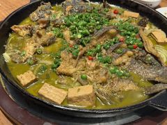 -老板恋上鱼(恒隆广场店)