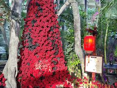 -东方华地城湿地温泉度假区