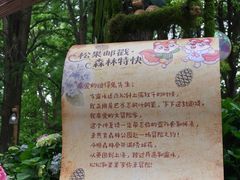 -共青国家森林公园-售票处