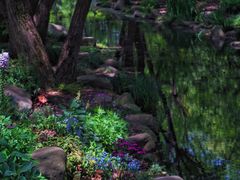 -上海共青森林公园