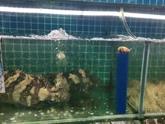 -三亚相缘海鲜·烧烤·糟粕醋(三亚湾店)