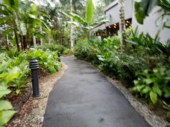 -植物园哈利亚餐厅