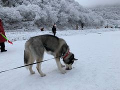 -太子岭滑雪场