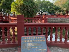 -万尾金滩