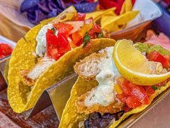 -Famous肥猫墨西哥音乐餐吧(五棵松华熙LIVE店)
