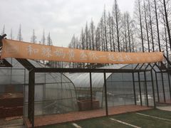 -前小桔亲子创意农场·草莓采摘·露营烧烤