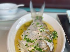 招牌清蒸钱塘江白条-柳莺湖上·湖景餐厅·江南菜(西湖店)
