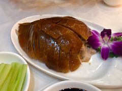 -九花山烤鸭店