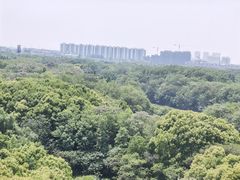-淹城春秋乐园