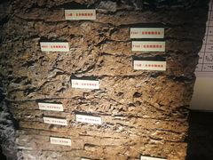 -南越王博物院(王宫展区)