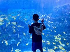 -海合安成都极地海洋公园