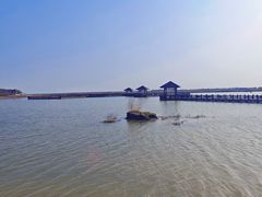 -南大港湿地风景区