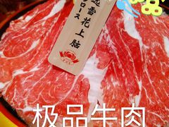-蟹将军·松叶蟹和牛日料放题自助(K11店)