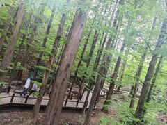 -国家植物园南园