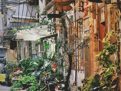 -长洲岛