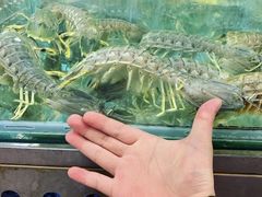 -凯华海鲜火锅·传承三十六年