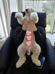 -Pink You美甲洗眉纹绣定制中心