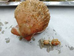 -北戴河庆山饭店·海鲜砂锅粥(北戴河黑石路店)
