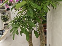 -蟹天蟹地农家菜·阳澄湖大闸蟹(浅水湾店)