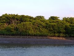 -东寨港红树林旅游区