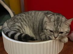 -H立方实景剧情密室(天河旗舰店)