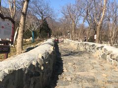 -阳台山自然风景区