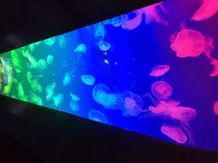 -成都浩海立方海洋公园