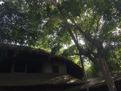 -海南槟榔谷黎苗文化旅游区