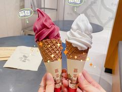 椰椰脆筒-喜茶(珠海华发商都店)