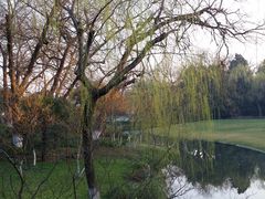 -柳浪闻莺公园