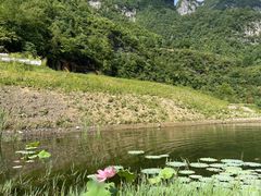 -鹿院坪生态旅游景区