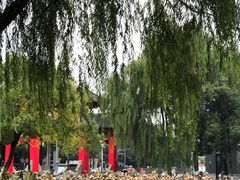 -四川大学(望江校区)