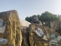 -自然谷恐龙园