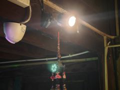 -大冰的小屋
