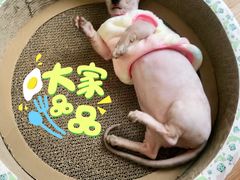 -福昌源食苑