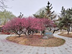 -济南国际园博园