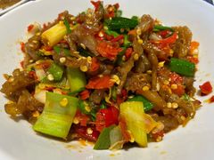 鸭掌筋-壹盏灯(惠农店)