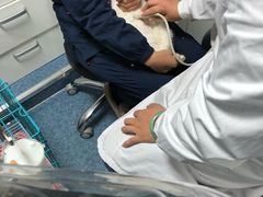 -A猫a狗全科·犬猫异宠·芥西宠物医院(南开总院)